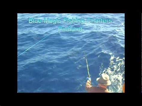 Deep sea angling trips with blue magic fishing charters